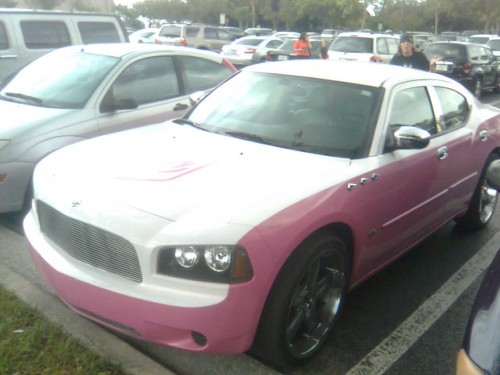 Pink Charger.jpg (81 KB)